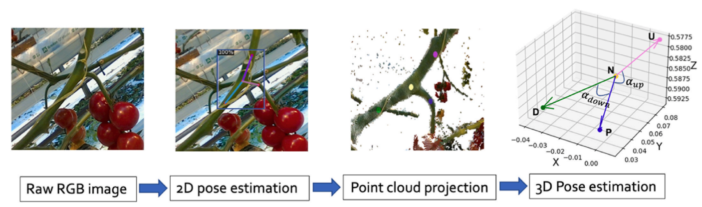 Detection and pose estimation of plant nodes