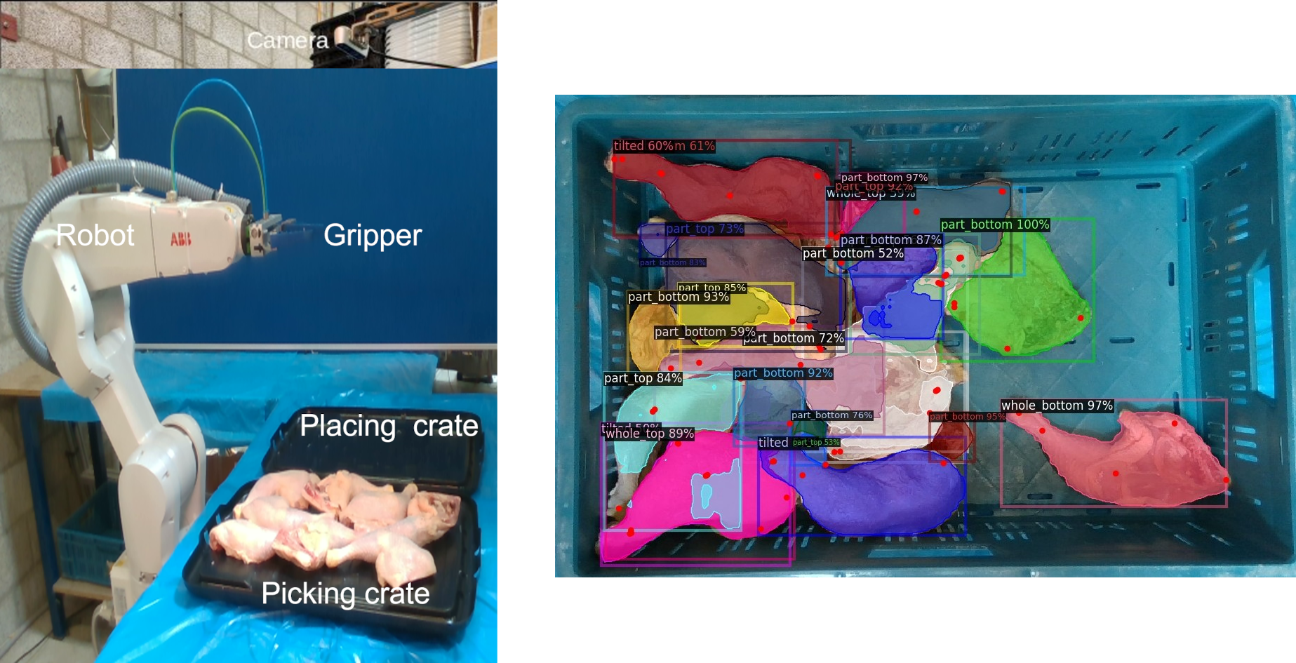 Detection and pose estimation of chicken pieces